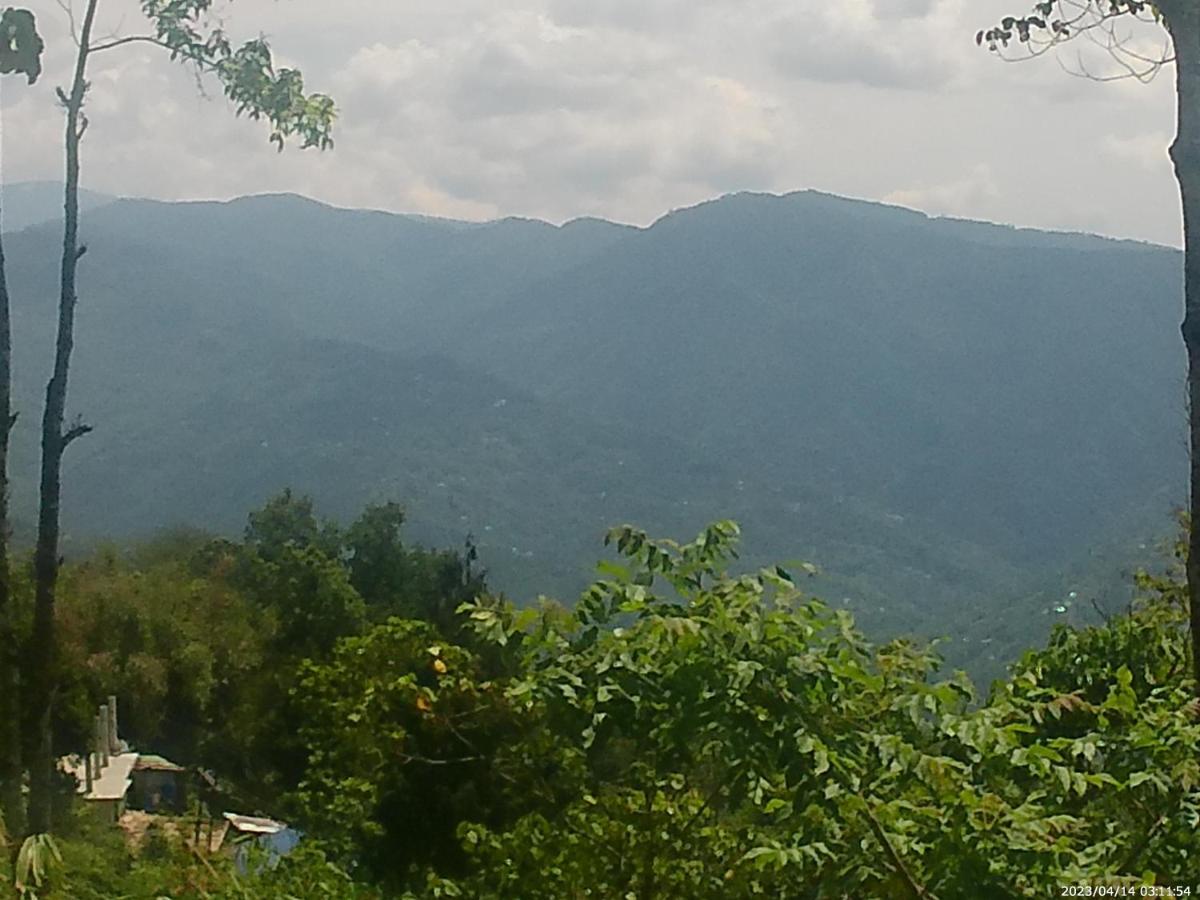 Mountain View Homestay Kalimpong Eksteriør bilde
