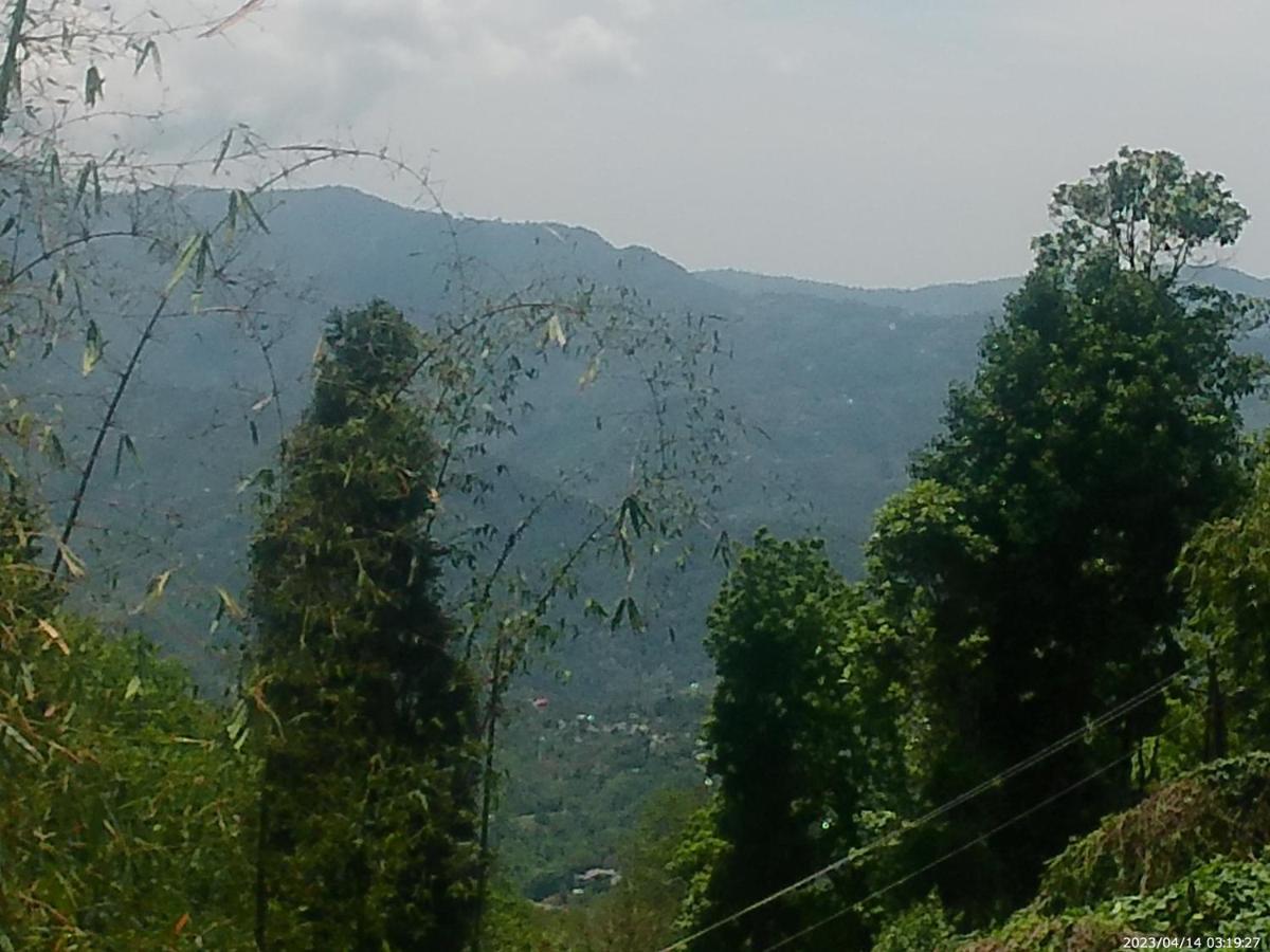 Mountain View Homestay Kalimpong Eksteriør bilde
