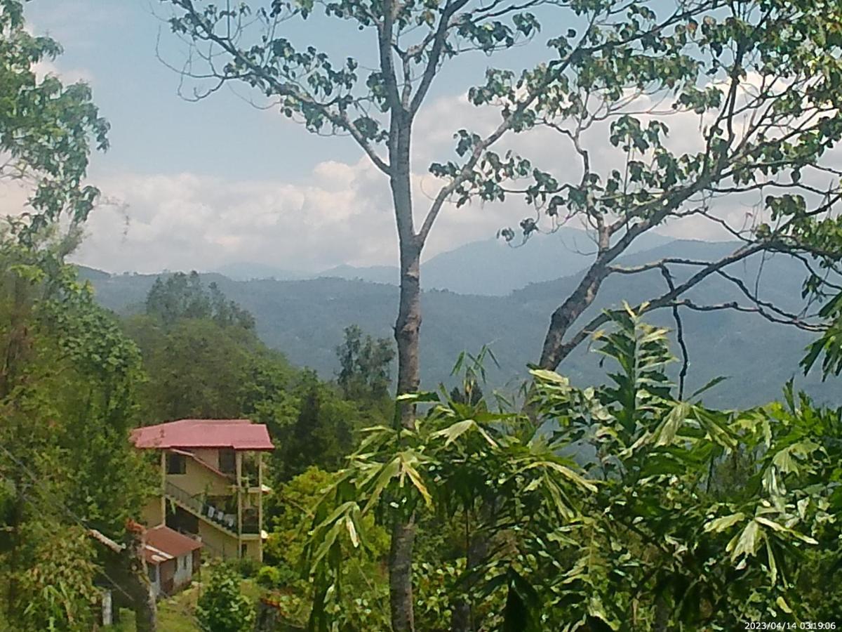 Mountain View Homestay Kalimpong Eksteriør bilde
